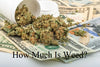 How Much Does a Gram of Weed Cost Around the World?