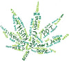 Cannabis Slang and Terminology 101