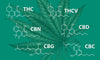 Cannabinoids 101: What They Are and How They Work