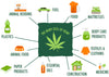 Hemp vs. Marijuana: Understanding the Differences and Uses